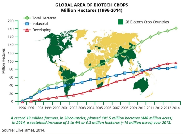 Global Area of Biotech Crops
